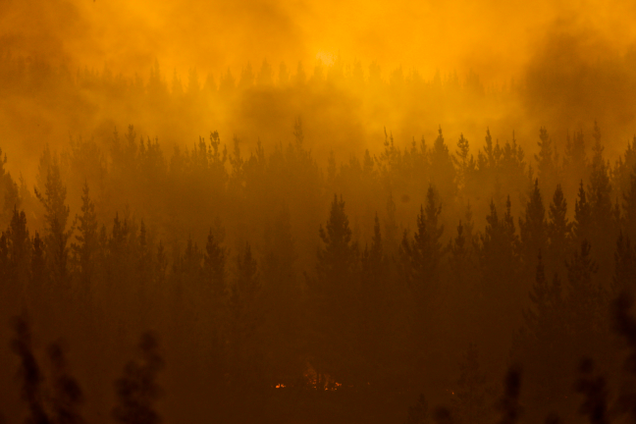 Wildfires burn in Pumanque, Chile on Jan. 21st, 2017. Image: AP Photo/Esteban Felix